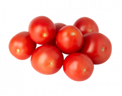 RAJCATA BAL. 500G 