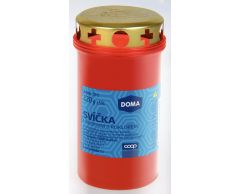CS SVICKA HRBITOVNI S POKLOP.120G DOMA